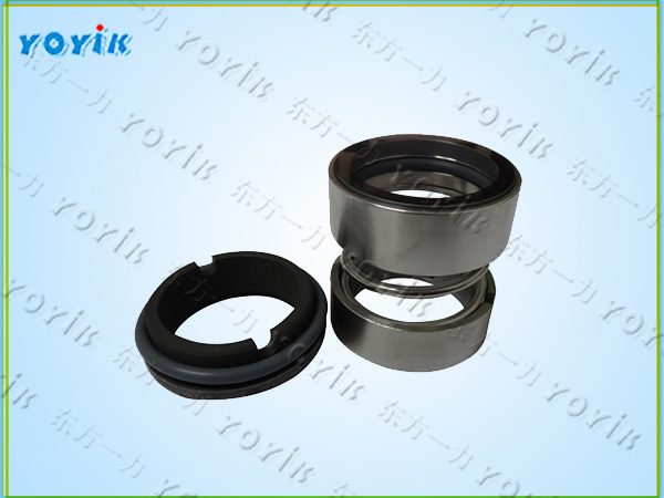HSNH280-43 Mechanical Seal