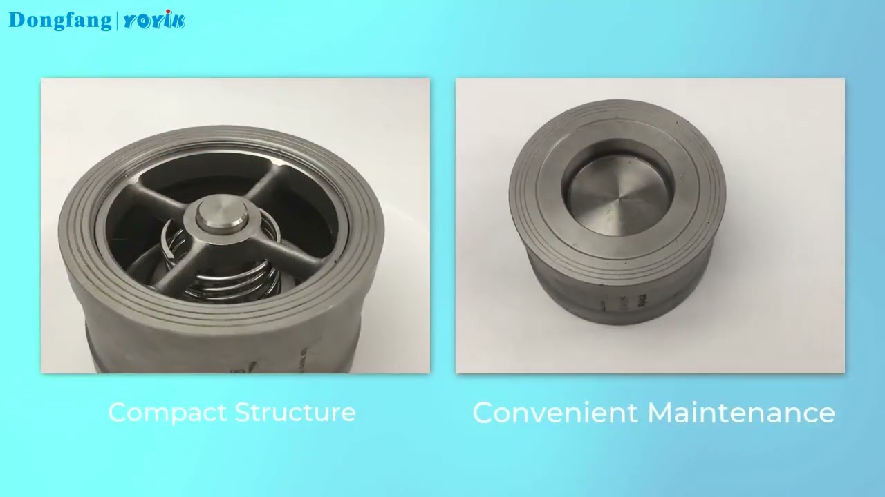 China Stainless Steel Wafer Check Valve 216C65 Non-return Valve Manufacturer