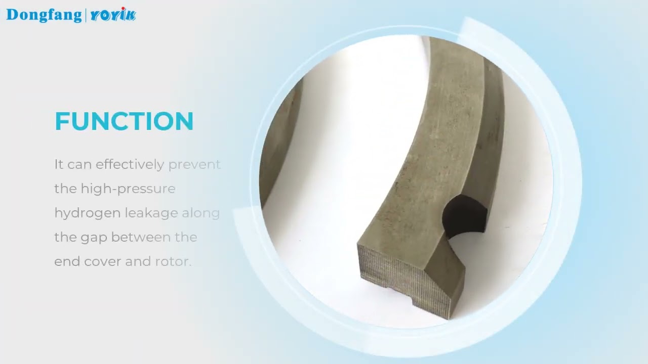 Generator-Hydrogen-Sealing-Ring