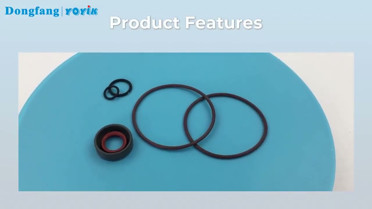 Hydraulic Circulating Pump Shaft Oil Seal Kits 919772