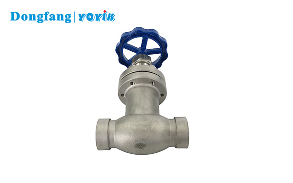 Globe valve WJ50F1.6P