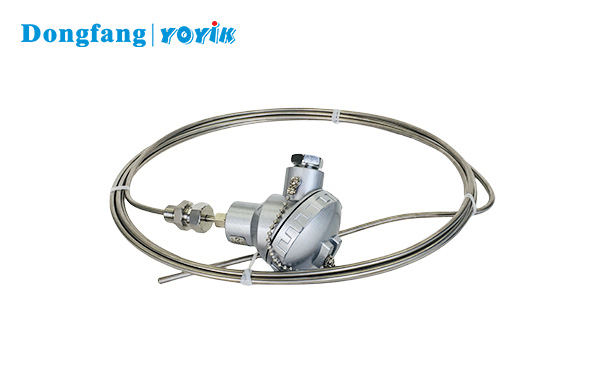 WRNK2-291 Dual Armored Thermocouple